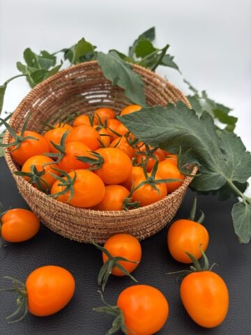 DEHA - Turuncu Kokteyl Domates